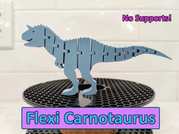 https://makerworld.bblmw.com/makerworld/model/DSM00000000219087/design/2024-04-19_293ba72955b28.jpg
