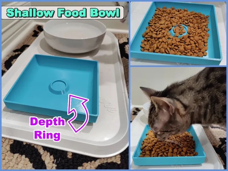 Cat Food Bowl (Low Profile)
