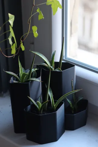 Tall plant vase