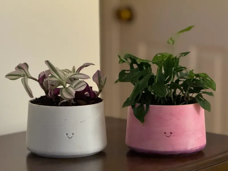 Planter with Smiley face