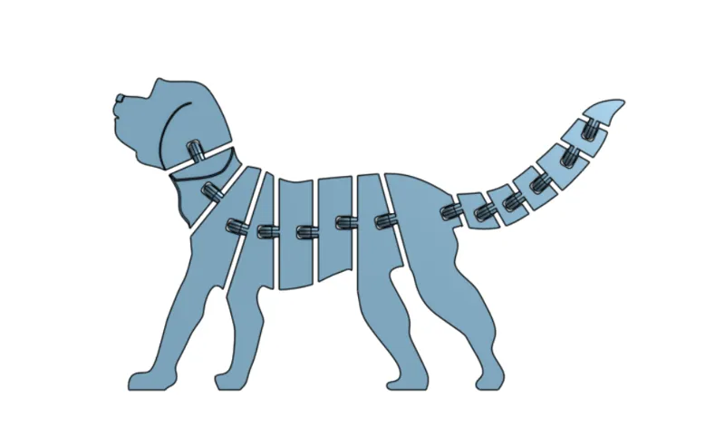 Flex Dog