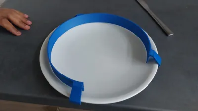 Food guard / Plate Rim Raiser