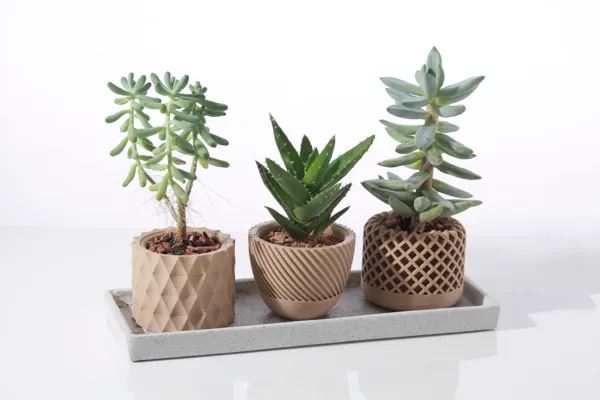 https://makerworld.bblmw.com/makerworld/model/DSM00000000221344/design/2024-03-03_1307899d677ac8.jpg