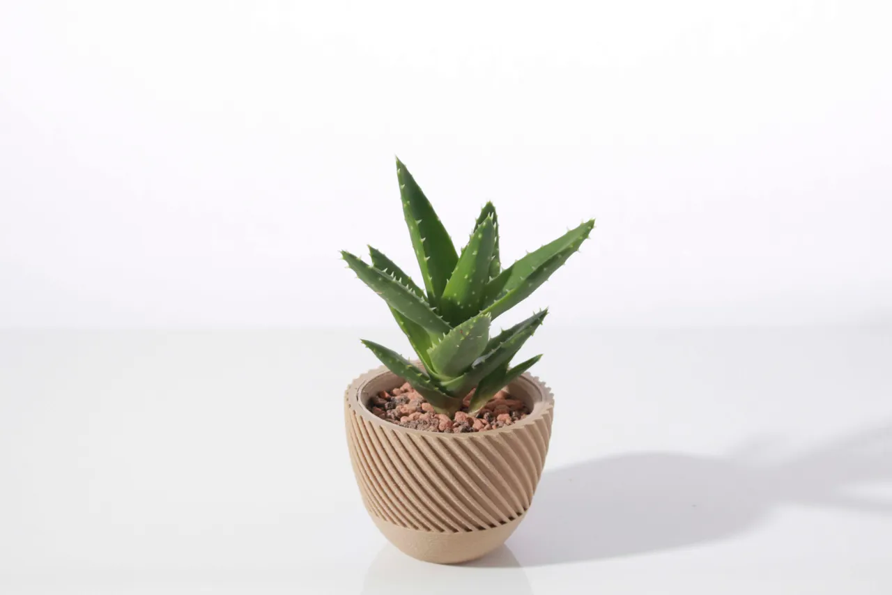 Modern geometric succulent plant pot view 3