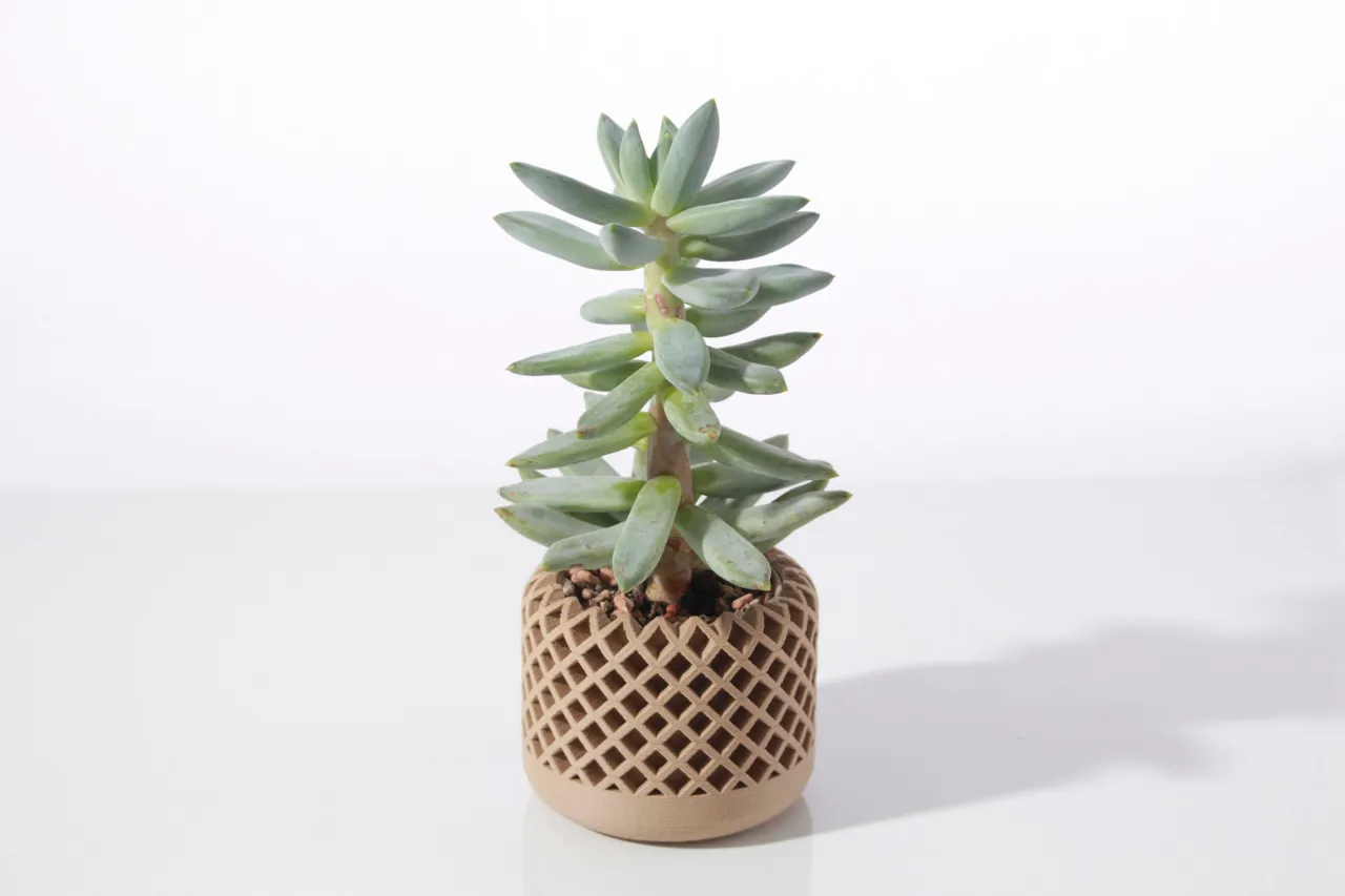 Modern geometric succulent plant pot view 2