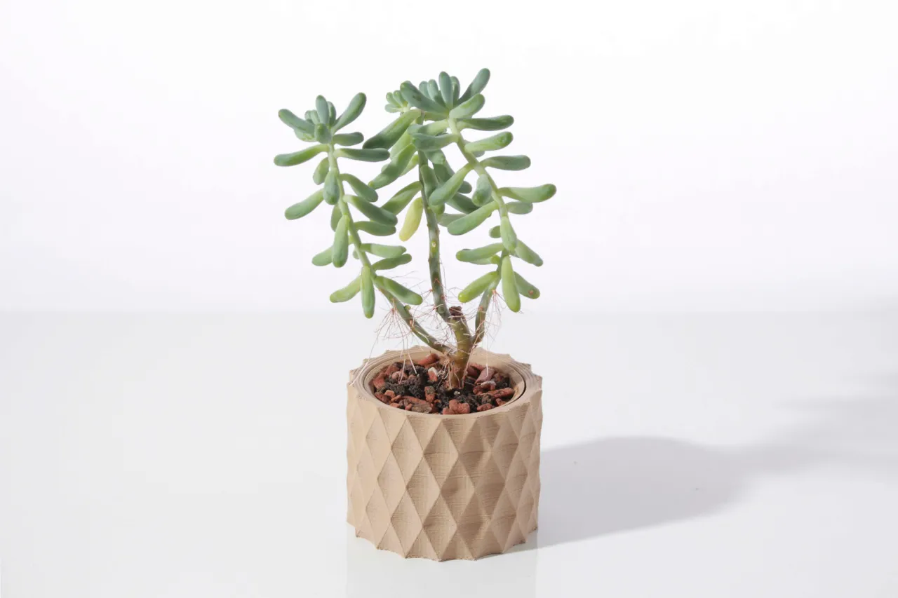 Modern geometric succulent plant pot view 4