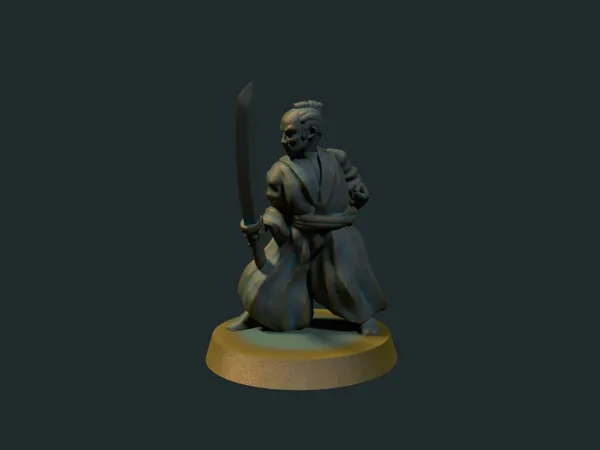 https://makerworld.bblmw.com/makerworld/model/DSM00000000221476/design/2024-01-23_72x6o671usnz.jpg