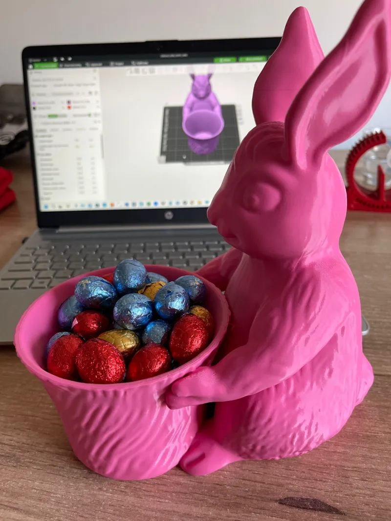 pink rabbit