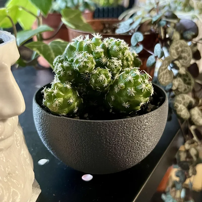 Simple Round Pot
