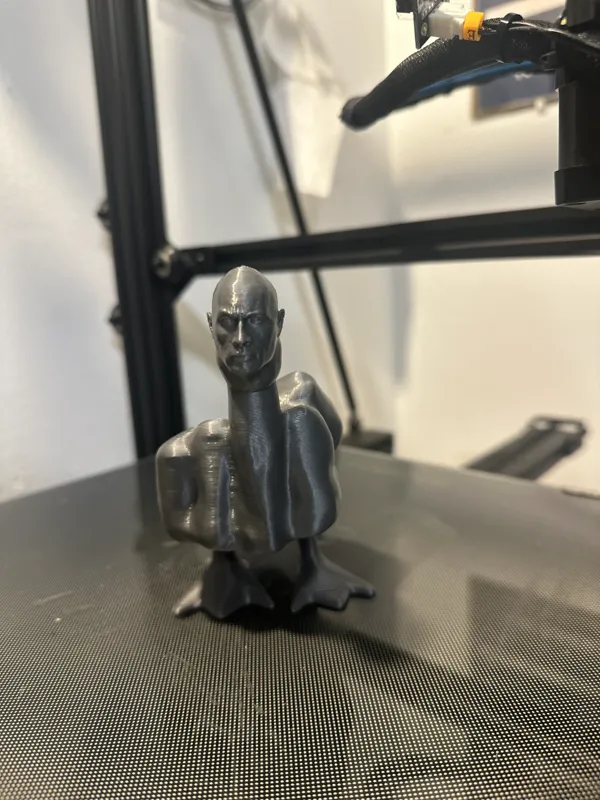 https://makerworld.bblmw.com/makerworld/model/DSM00000000222468/design/2024-03-03_165f7a1ad47ca.jpg