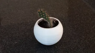 Small Plant Pot