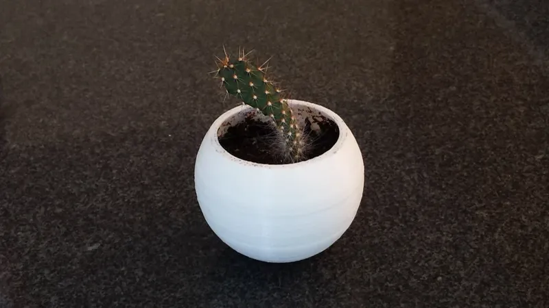 Small Plant Pot