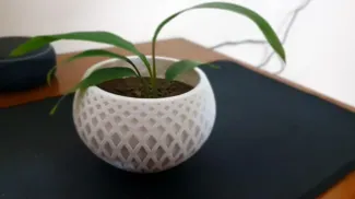 Little Plant Pot with Pattern