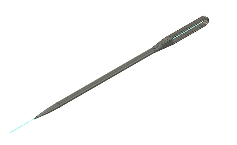 Darning Needle
