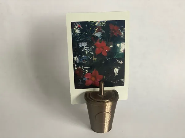 https://makerworld.bblmw.com/makerworld/model/DSM00000000224465/design/2024-03-03_d5de00b717f5a.jpeg