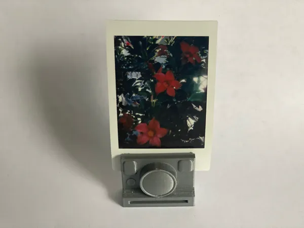 https://makerworld.bblmw.com/makerworld/model/DSM00000000224547/design/2024-03-03_b9297beee8e01.jpeg