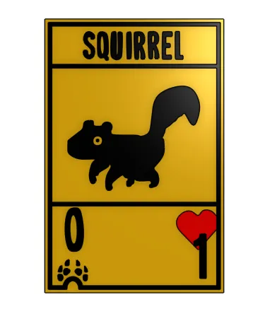 Squirrel