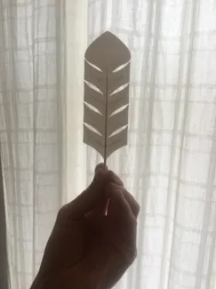 Simple Feather