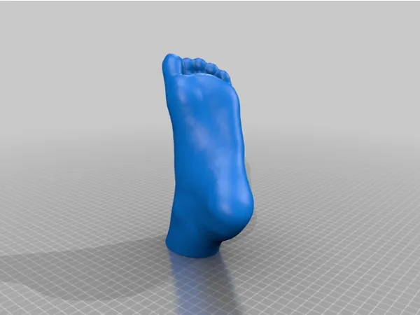 https://makerworld.bblmw.com/makerworld/model/DSM00000000225608/design/2024-03-04_efde2cb8ed76b.png