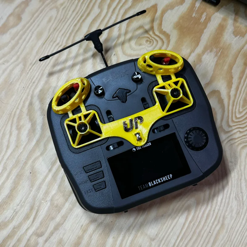 TBS Mambo Gimbal and Switch Protector