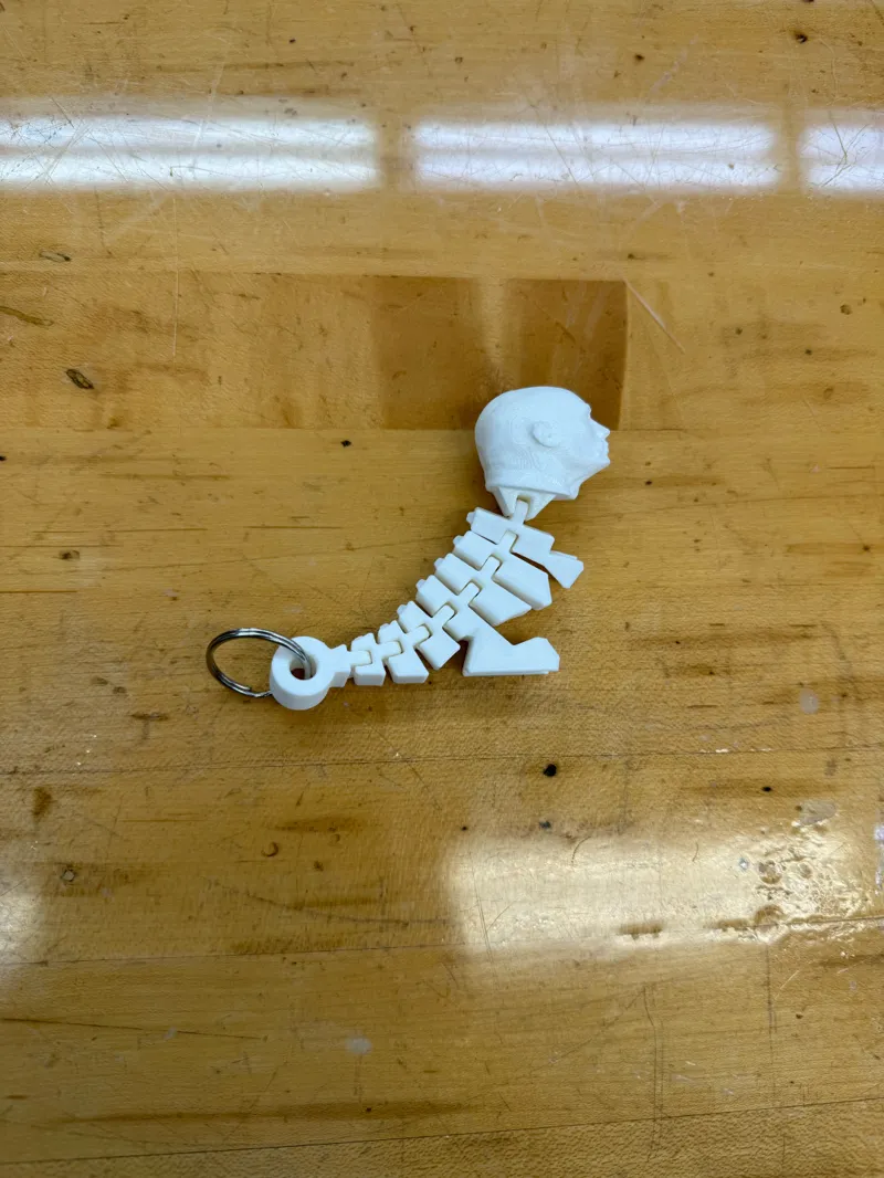 Flexi Rexi Rock Head Keychain