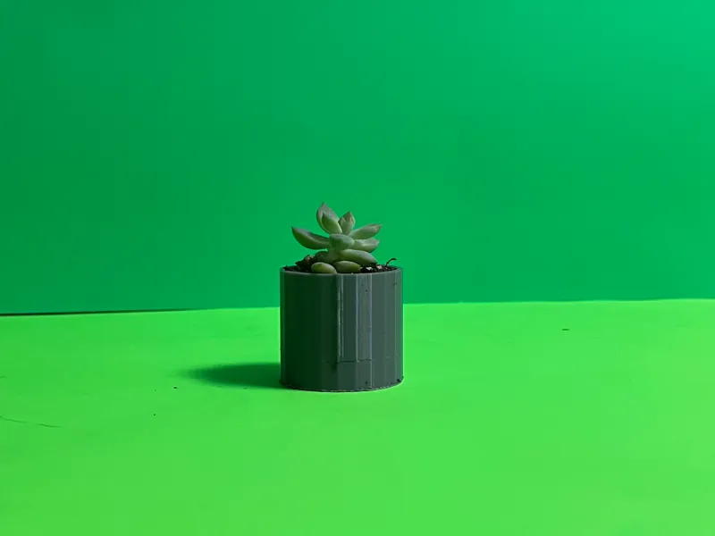 Pot