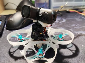75mm whoop canopy