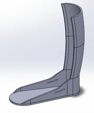 Leg Brace
