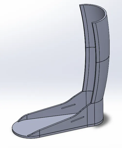 Leg Brace