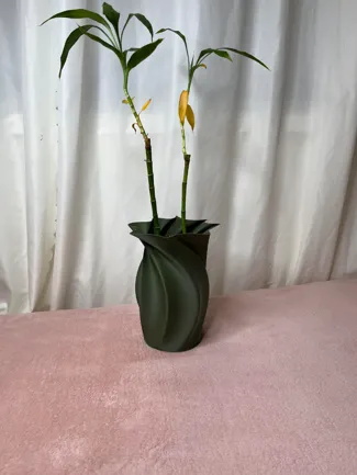 Elligant Spiral Vase