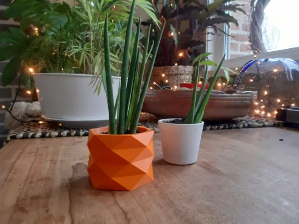 https://makerworld.bblmw.com/makerworld/model/DSM00000000231289/design/2024-03-06_24bc21df98913.jpg