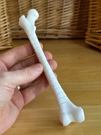 Fidget Femur