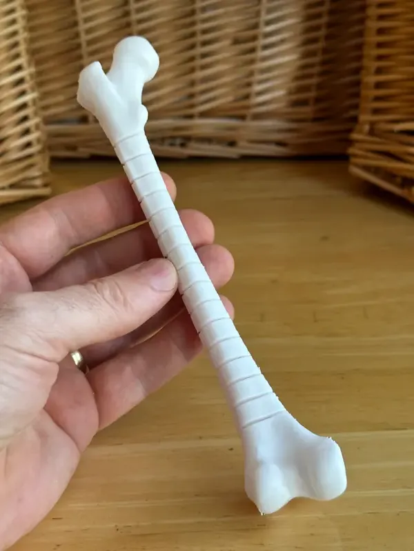 https://makerworld.bblmw.com/makerworld/model/DSM00000000231689/design/2024-03-06_142f645e11de2.webp