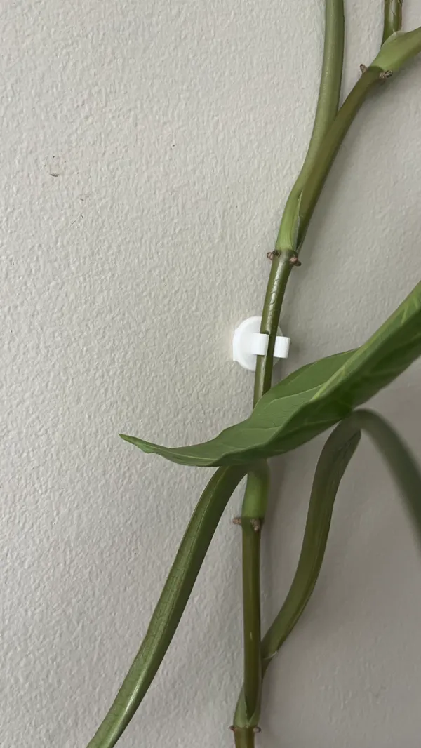 https://makerworld.bblmw.com/makerworld/model/DSM00000000232443/design/2024-03-06_59b324faedf99.jpg