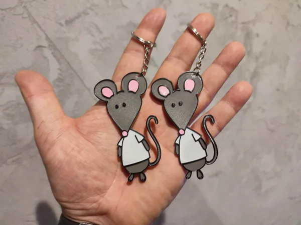 https://makerworld.bblmw.com/makerworld/model/DSM00000000235389/design/2024-03-07_8eff048aaffb.jpg