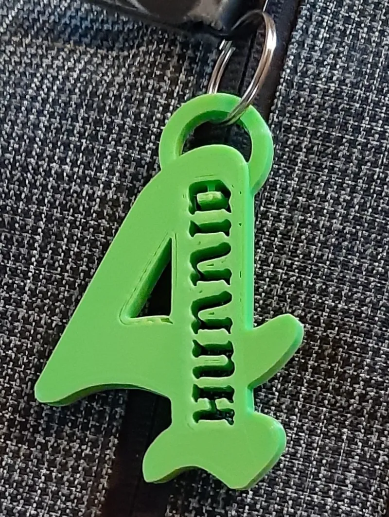 YG 4hunnid keychain