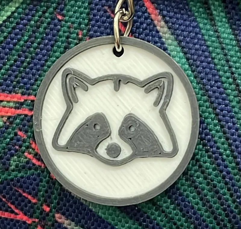 Raccoon Coin (with Keychain Hole Option)