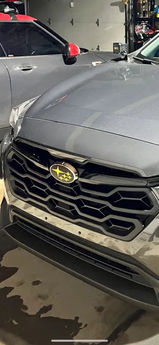 License plate hole cover