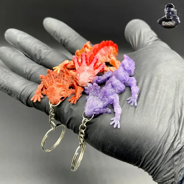 https://makerworld.bblmw.com/makerworld/model/DSM00000000236975/design/2024-03-08_rz00t4hh0qpn.jpg