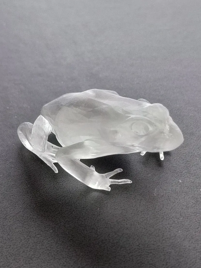 Grenouille