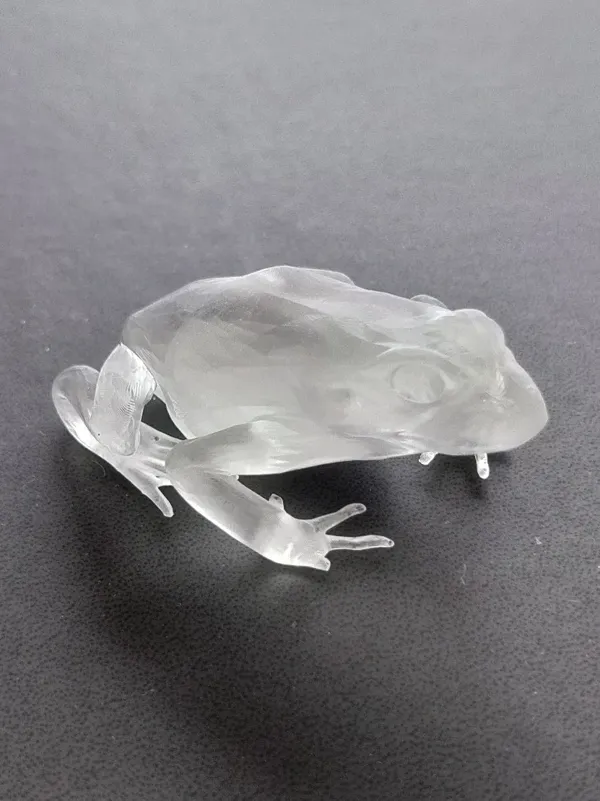 Grenouille