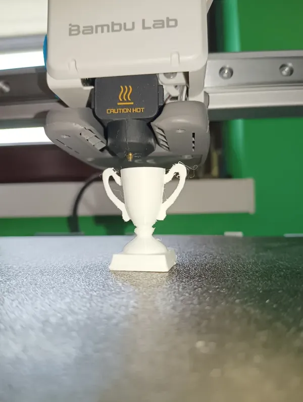 https://makerworld.bblmw.com/makerworld/model/DSM00000000238499/design/2024-03-08_f3bd9e5a65271.webp