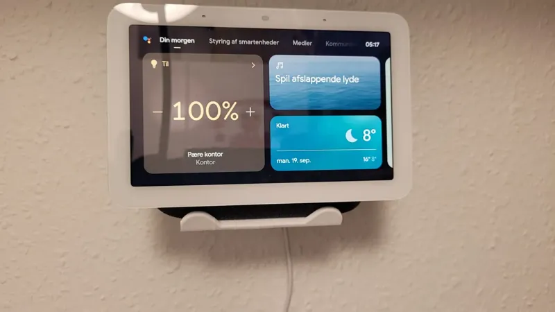 Google home Display wall mount