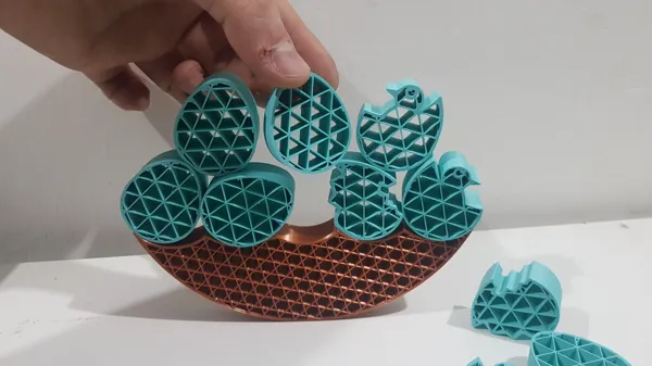 https://makerworld.bblmw.com/makerworld/model/DSM00000000240672/design/2024-03-09_3a1eb564608bb.jpg