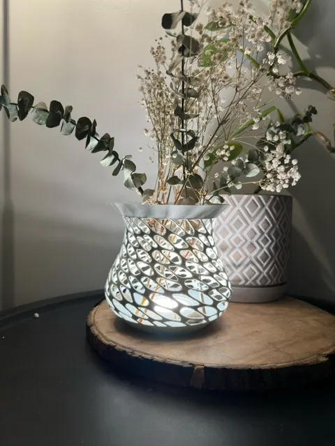Lighted vase