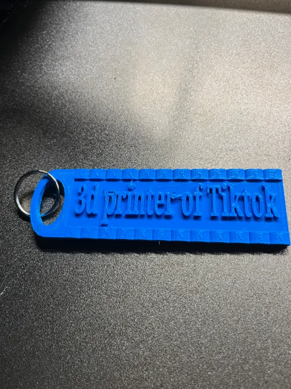 https://makerworld.bblmw.com/makerworld/model/DSM00000000240739/design/2024-03-09_f151fdbf836fa8.jpeg