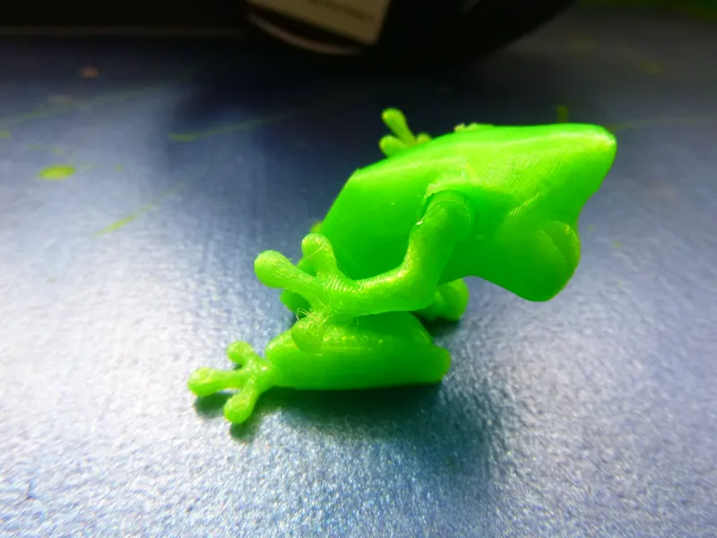 flexie frog