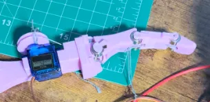 Robotic Finger