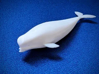 Beluga bathtub toy