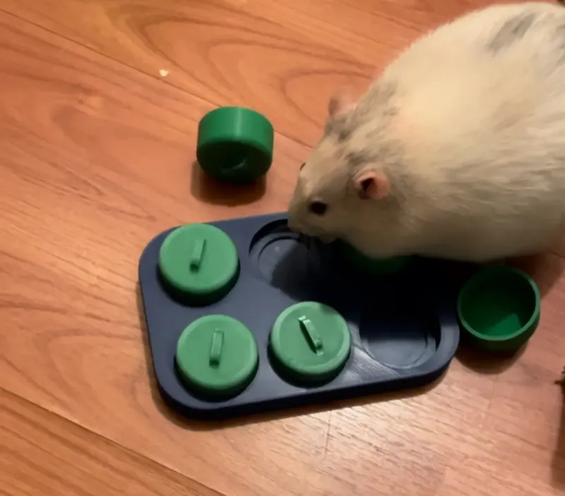 Rat Foraging Toy